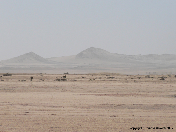 Namib66 - le desert (4)